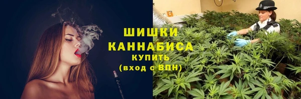 ПСИЛОЦИБИНОВЫЕ ГРИБЫ Верхний Тагил